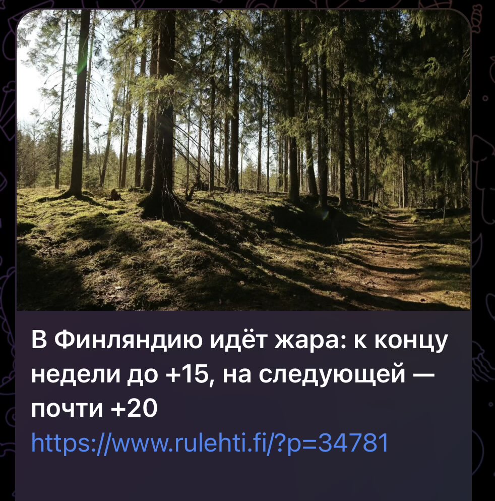 @beshkenadze tweet media