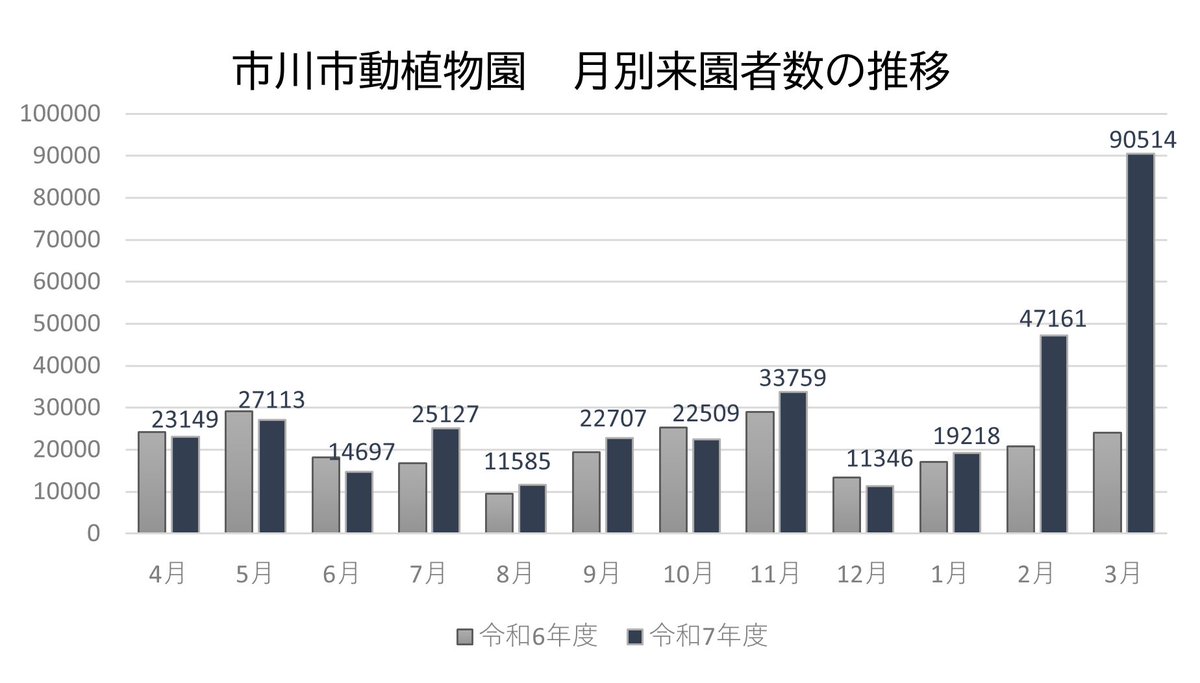 市川市動植物園（公式） tweet media