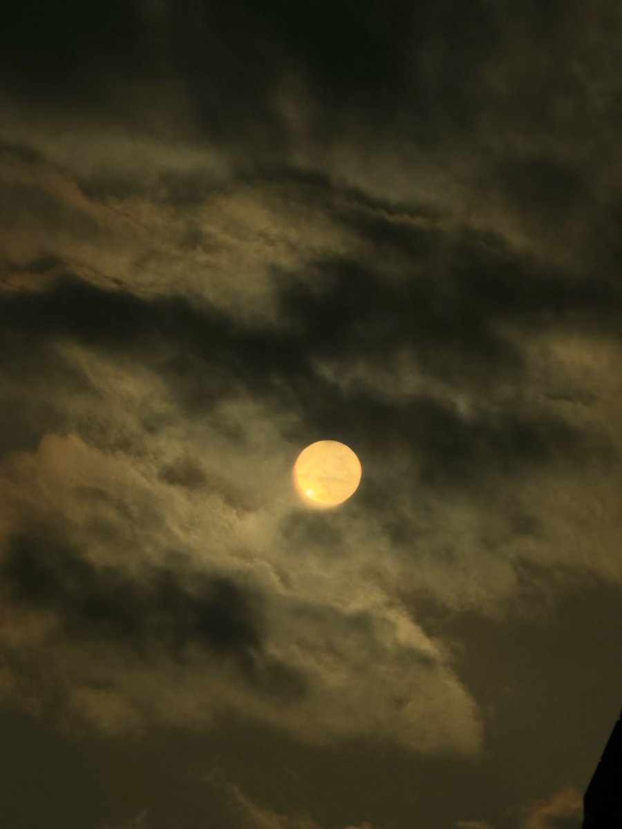 맠감자 tweet media