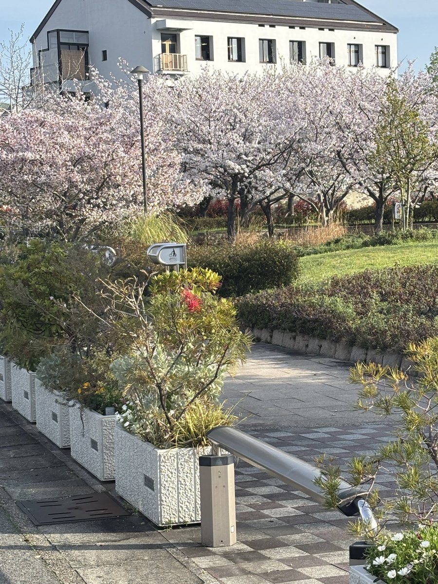 ジャン・QB(キュウベェ) tweet media