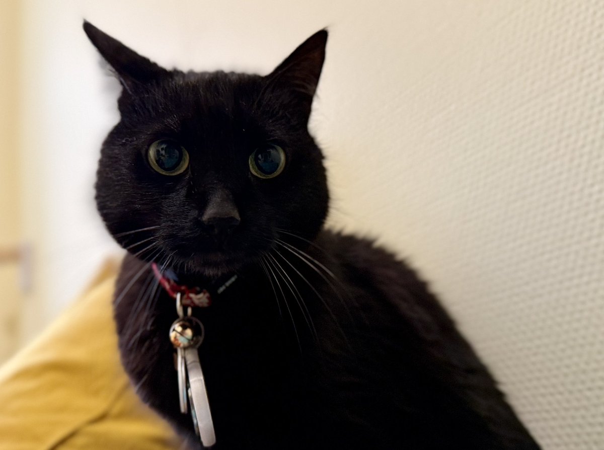 Стас Юрченко tweet media