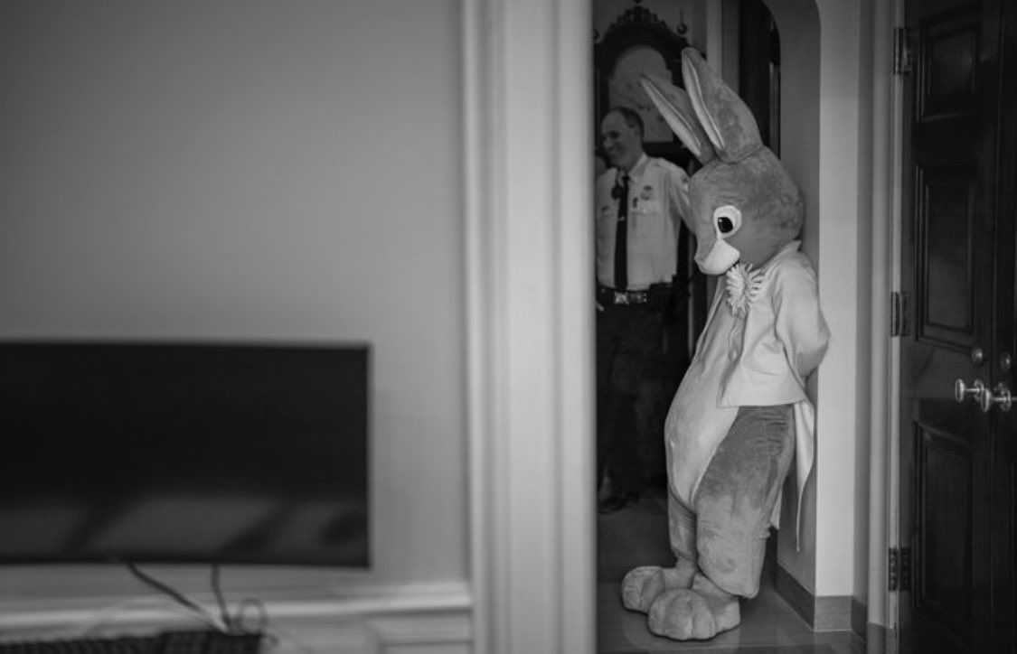 Lucía Taboada tweet media