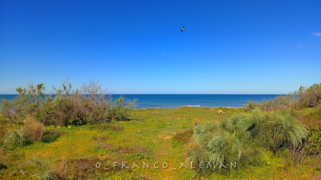 o_franco_aleman's tweet image. To discuss pro &amp;amp; contra here is mute
Do I not love you, day?

Anne Waldman

#poetry #photography
#quote