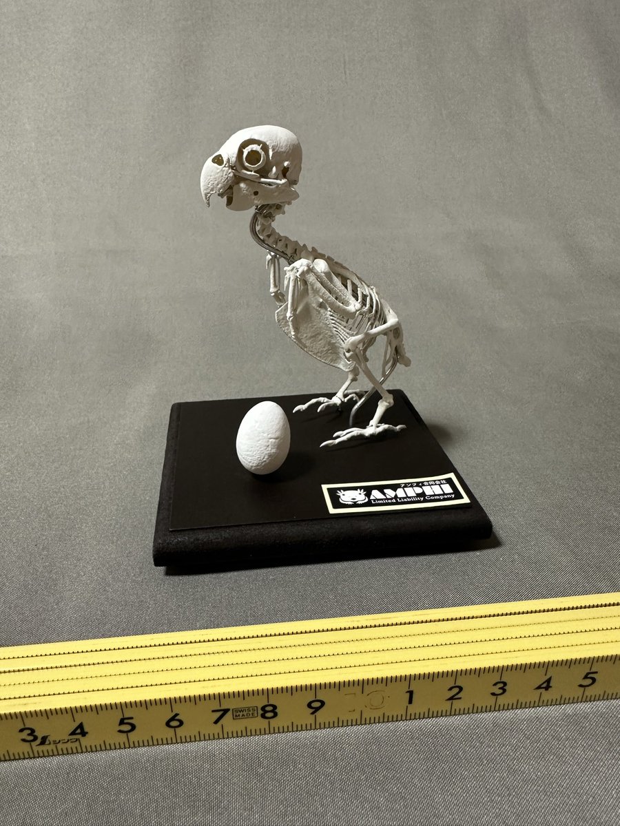 アンフィ合同会社 tweet media