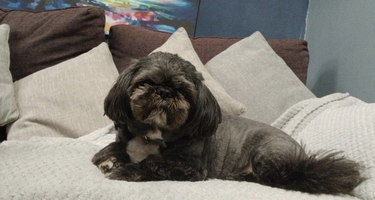 The Cummins Accountability Project 🌎 tweet media