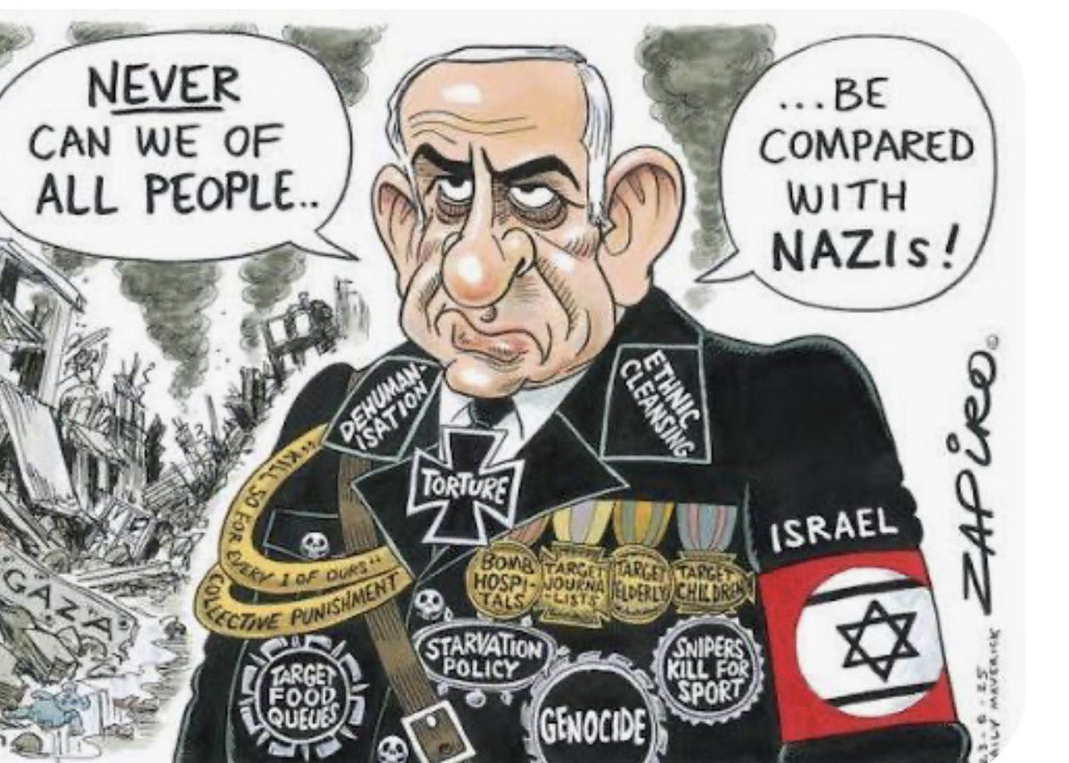 Hellywood tweet media