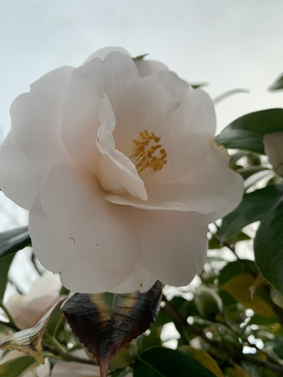 ミナミ tweet media