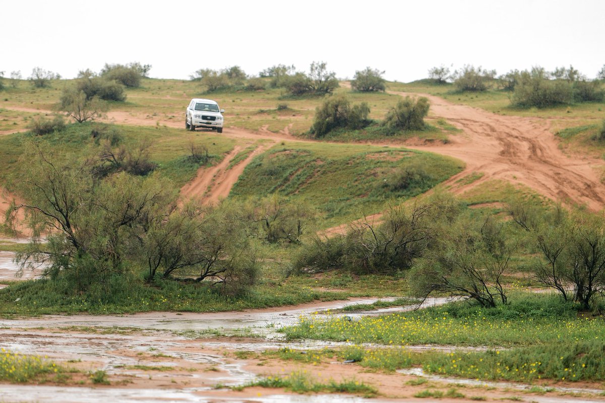 منتزه الغضا في أطراف "باريس نجد" مدينة عنيزة بمنطقة القصيم، وسط السعودية 🇸🇦 ..

Al-Ghada Park on the outskirts of “Paris of Najd,” Unaizah city in the Qassim region, central Saudi Arabia

By:
<a href="/AbdullahAlaksha/">عبدالله العكشان 🇸🇦</a>
