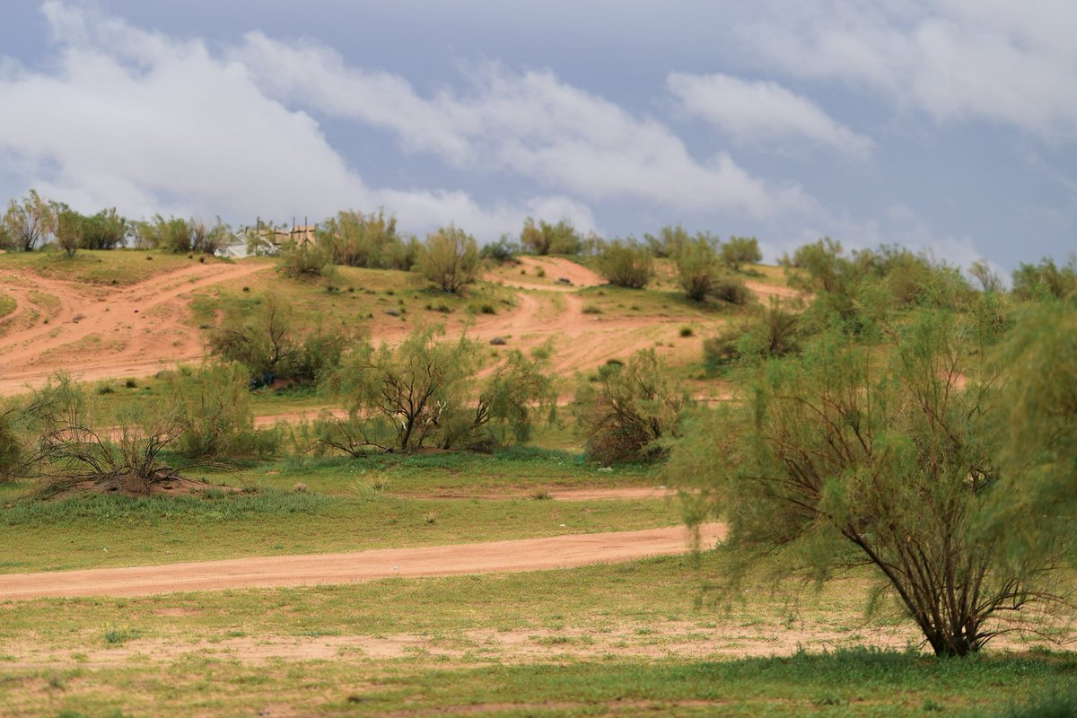TSP_Geographic's tweet photo. منتزه الغضا في أطراف "باريس نجد" مدينة عنيزة بمنطقة القصيم، وسط السعودية 🇸🇦 ..

Al-Ghada Park on the outskirts of “Paris of Najd,” Unaizah city in the Qassim region, central Saudi Arabia

By:
@AbdullahAlaksha https://t.co/35B5NeIOvq