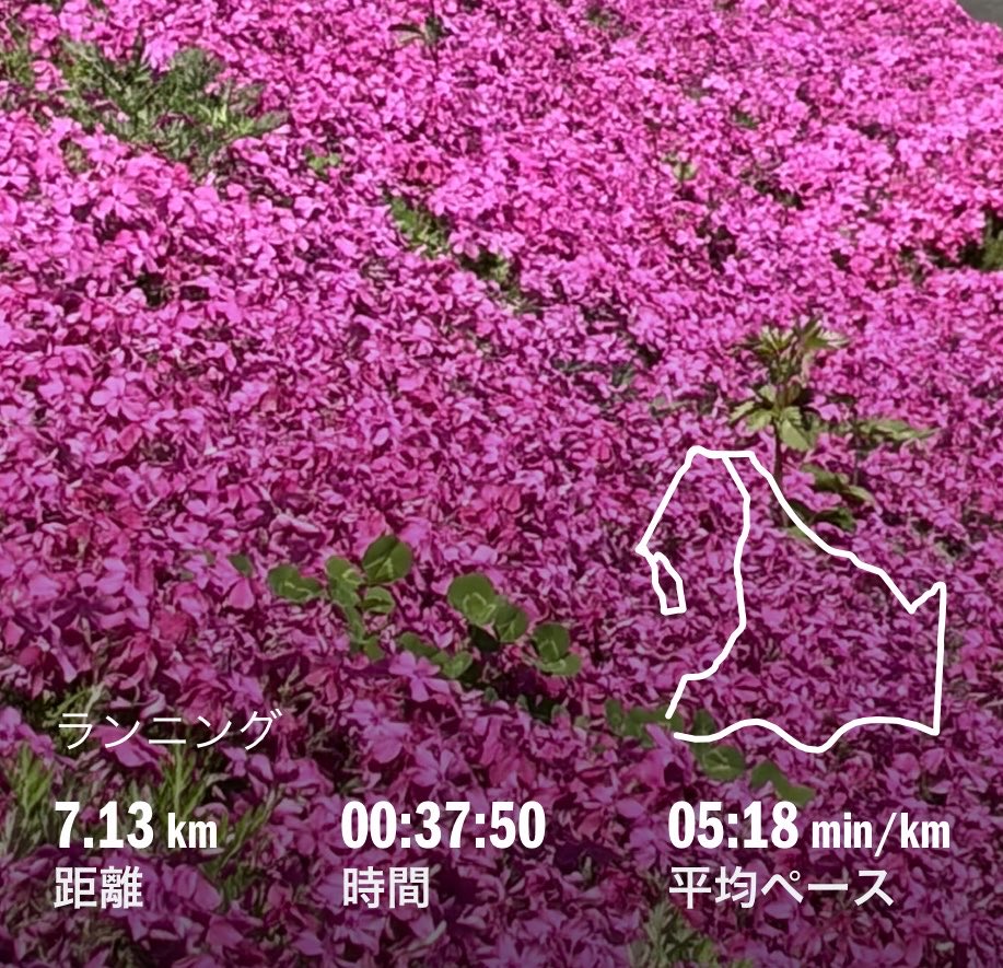 HighwayX0901's tweet photo. 4月7日🔖𓂃𓈒𓏸︎︎︎︎
夜勤明け
桜も少しずつ散ってきました🌸 https://t.co/zTnDTEYLpX