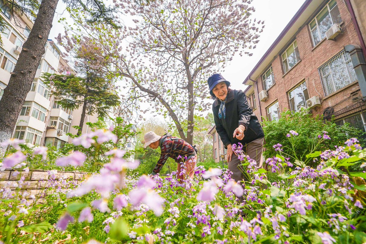 mohd adzmi bin maruj tweet media