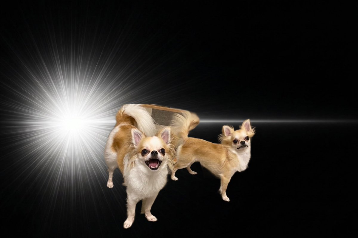 terisuke@毎週登壇 tweet media