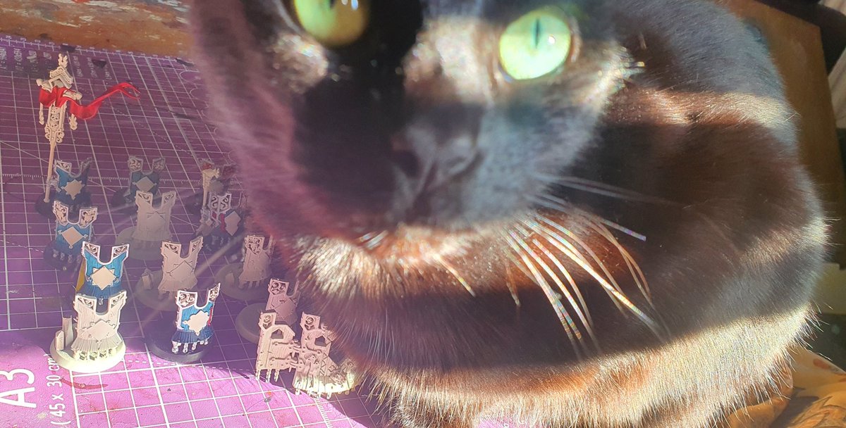 TearShapedHeart's tweet image. Good morning all! 

What are we reading/painting today? 

For me it's 21 shields for my Cities of Sigmar... if I'm allowed to get to them.