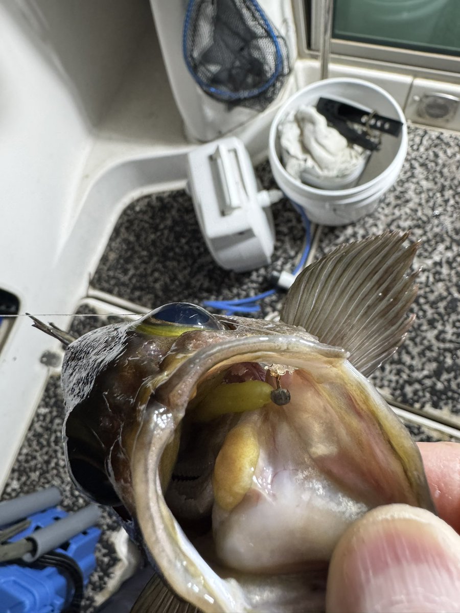 Takeshi Okutsu tweet media