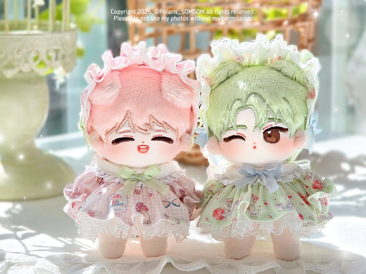 Polaris🧸 tweet media