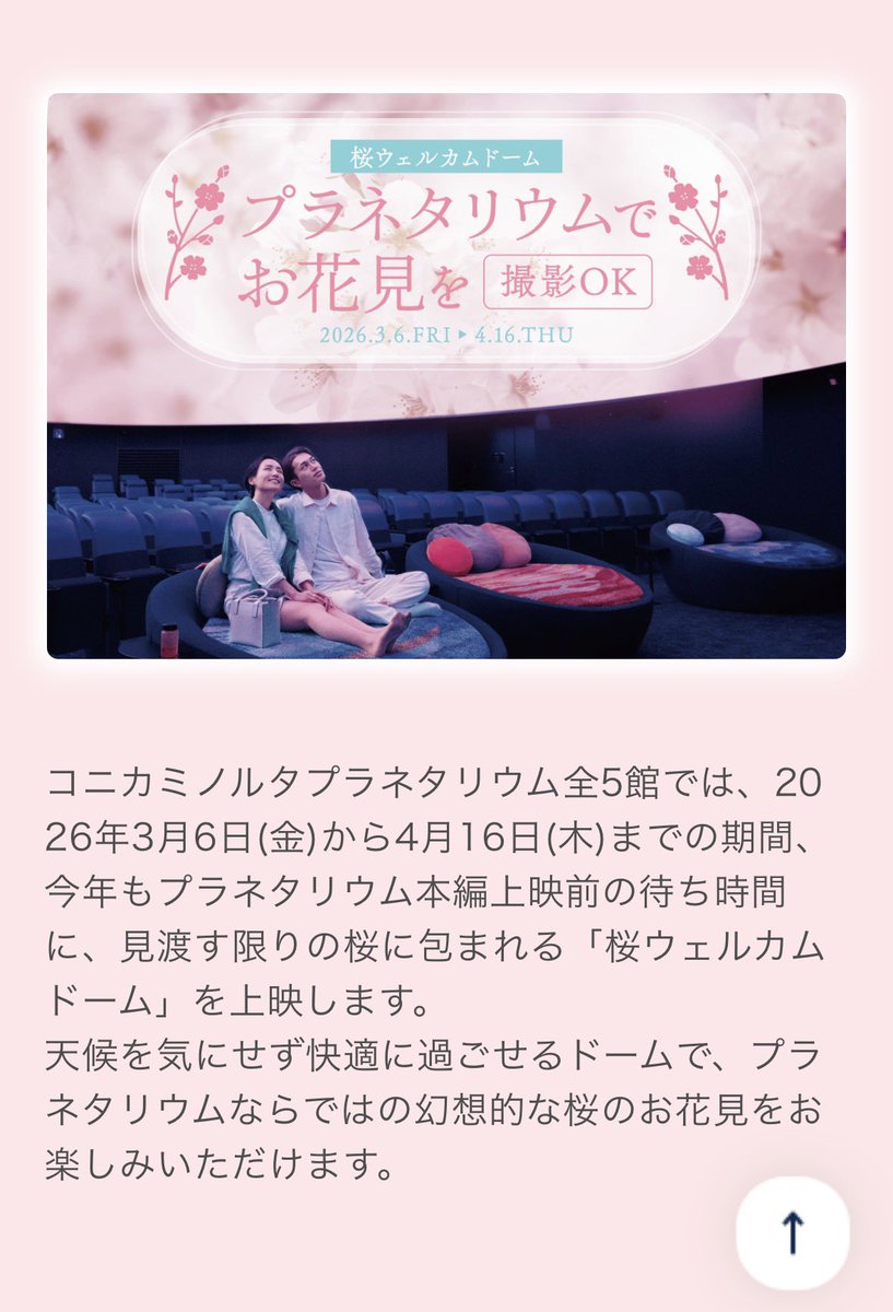 まつりちゃん🦪⛱ tweet media