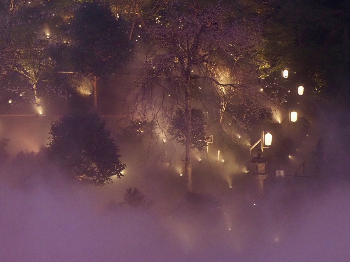 ロプロス tweet media