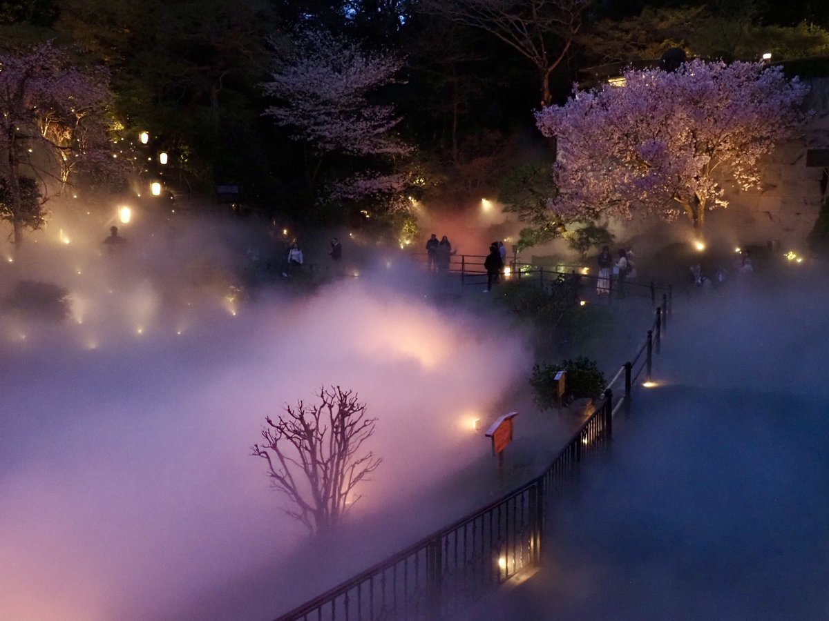 ロプロス tweet media