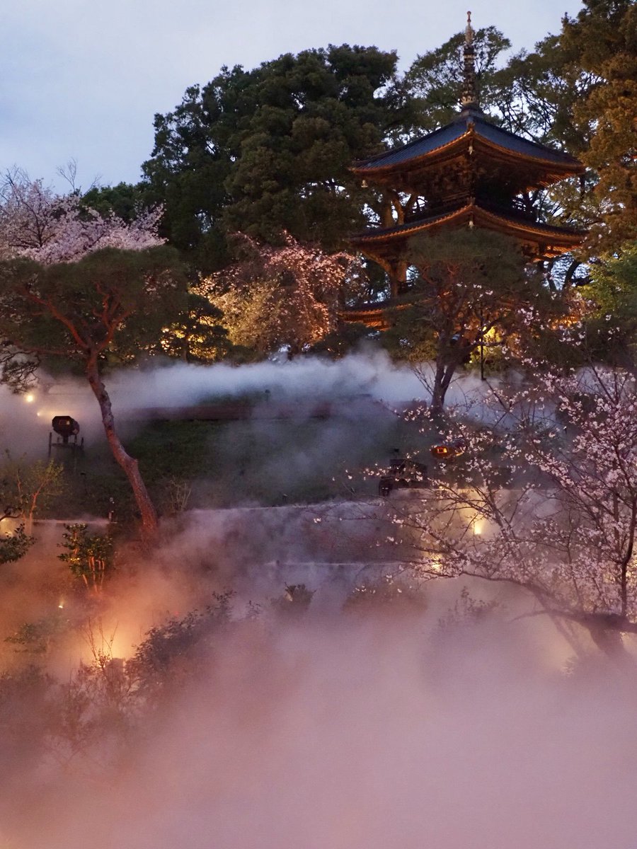 ロプロス tweet media