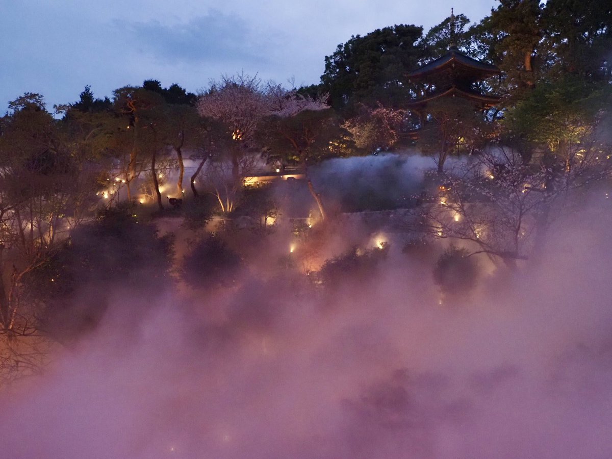 ロプロス tweet media