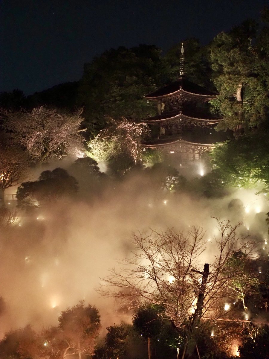 ロプロス tweet media