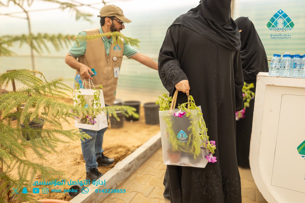 بلدية محافظة ينبع tweet media