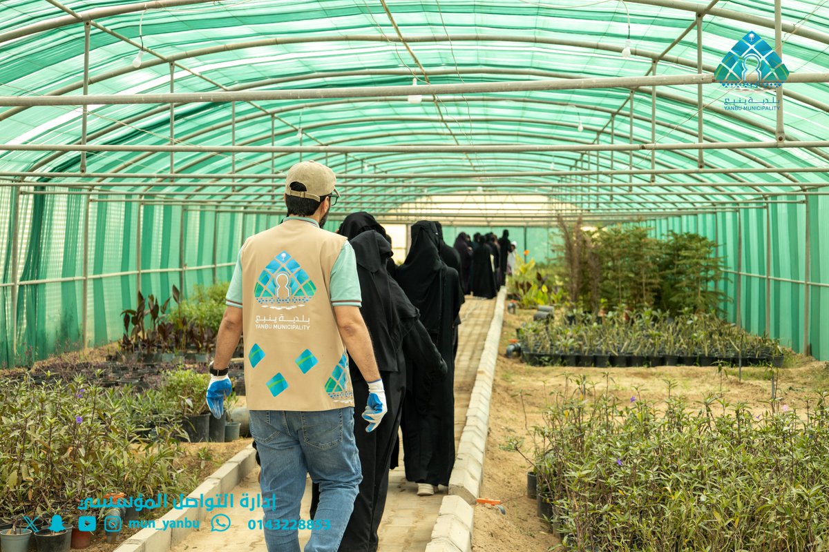 بلدية محافظة ينبع tweet media