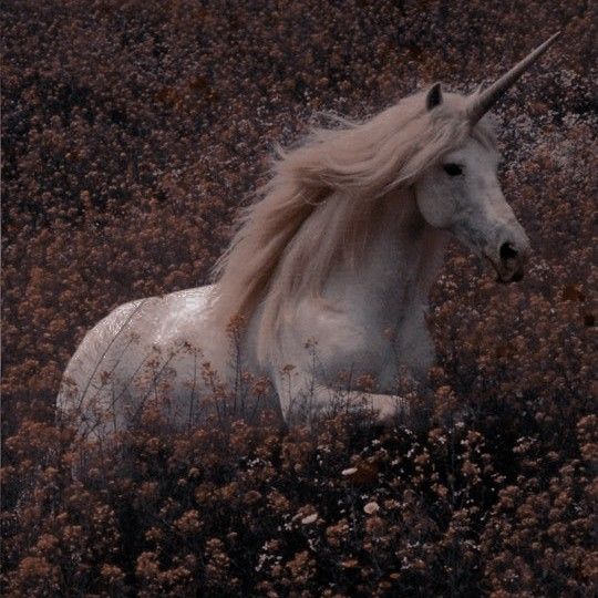 NowThatImAWoman's tweet photo. 𝘛𝘩𝘦 𝘫𝘰𝘺 𝘵𝘩𝘢𝘵 𝘴𝘱𝘳𝘪𝘯𝘨 𝘪𝘴 𝘩𝘦𝘳𝘦 𝘢𝘨𝘢𝘪𝘯. https://t.co/tlnxoOTuR7