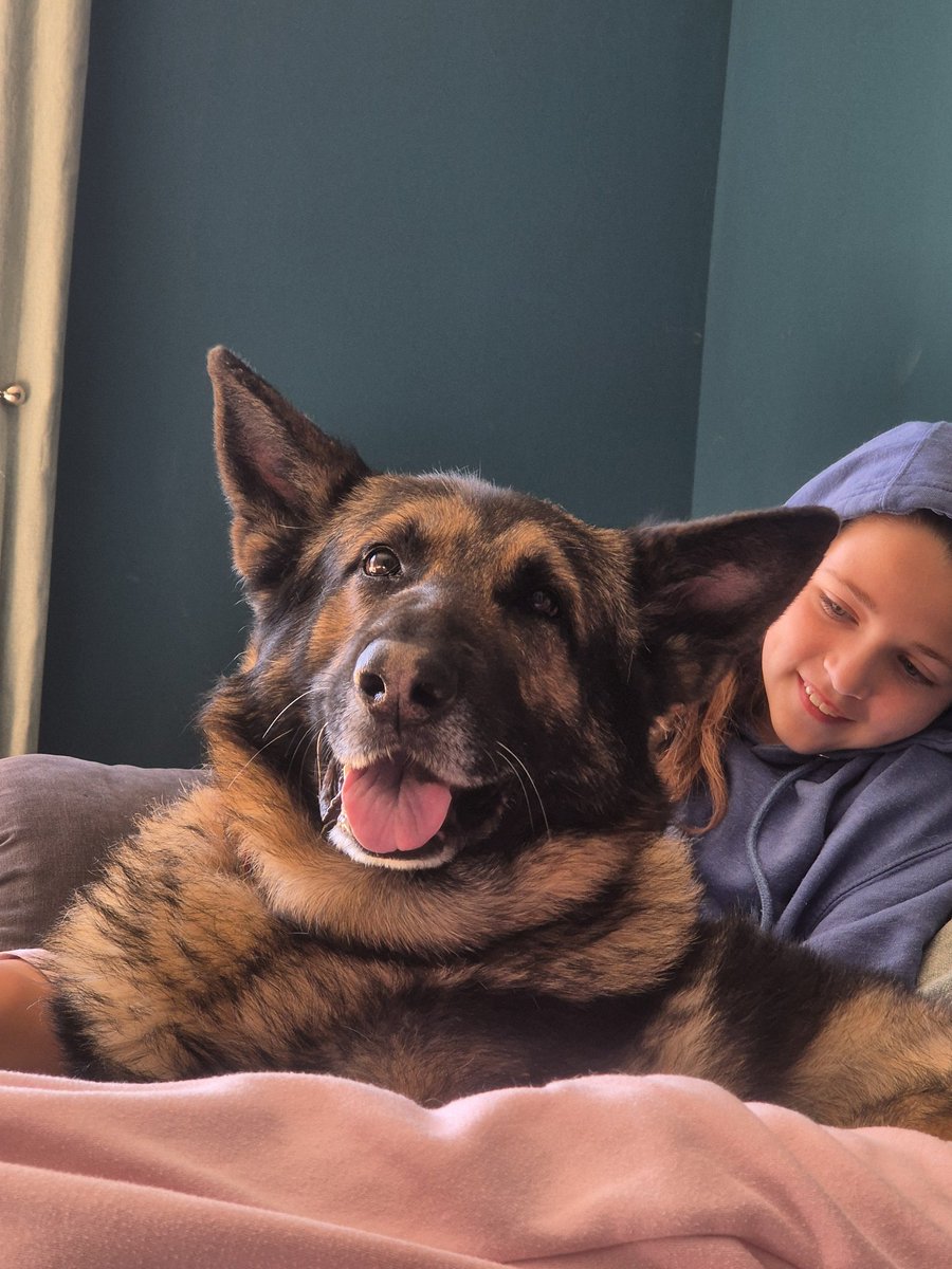 RPD Pacer tweet media