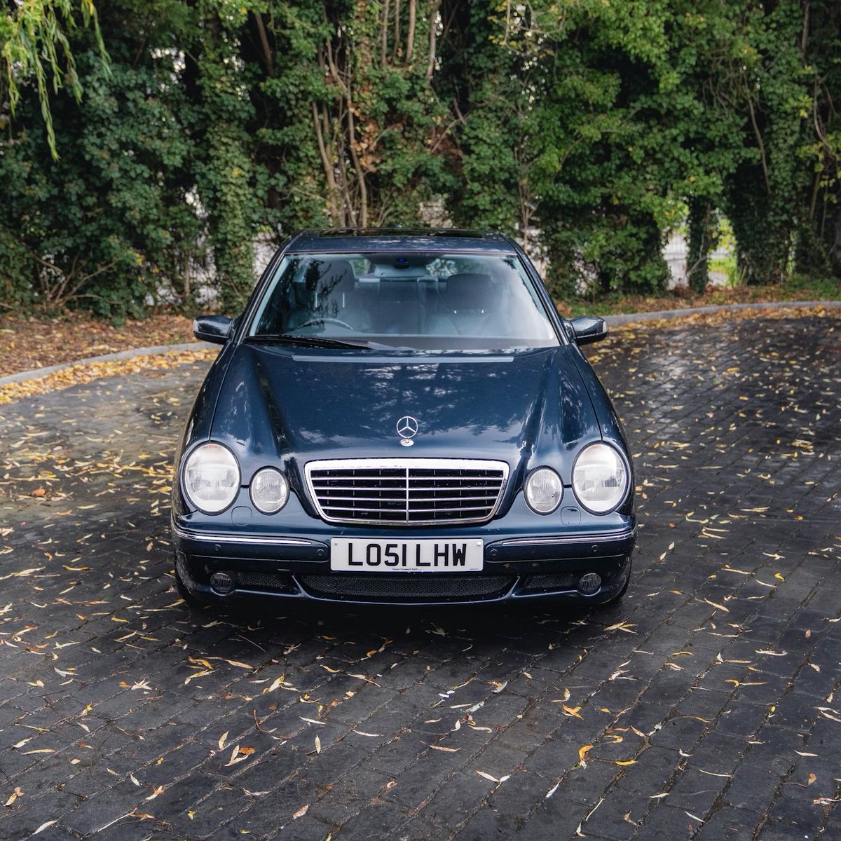 Autowelt tweet media