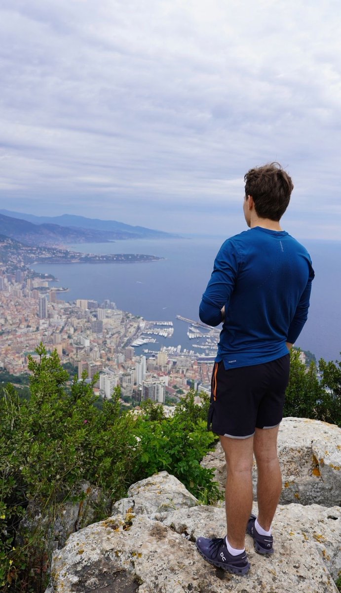 🐨🌶️ tweet media