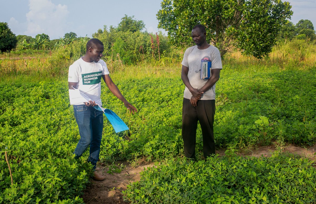 ESAFFUG's tweet photo. On this #WorldHealthDay, we emphasize the importance of eating agroecologically grown foods for a healthier life. At @ESAFFUG, we value your well-being because good health is essential for active and productive daily living.

Choose agroecological foods today—for a healthier body, a healthier community, and a healthier future.

Happy World Health Day!

#TogetherforHealth
#HealthyLiving