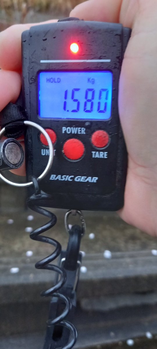 幸手の人【バス釣り】 tweet media