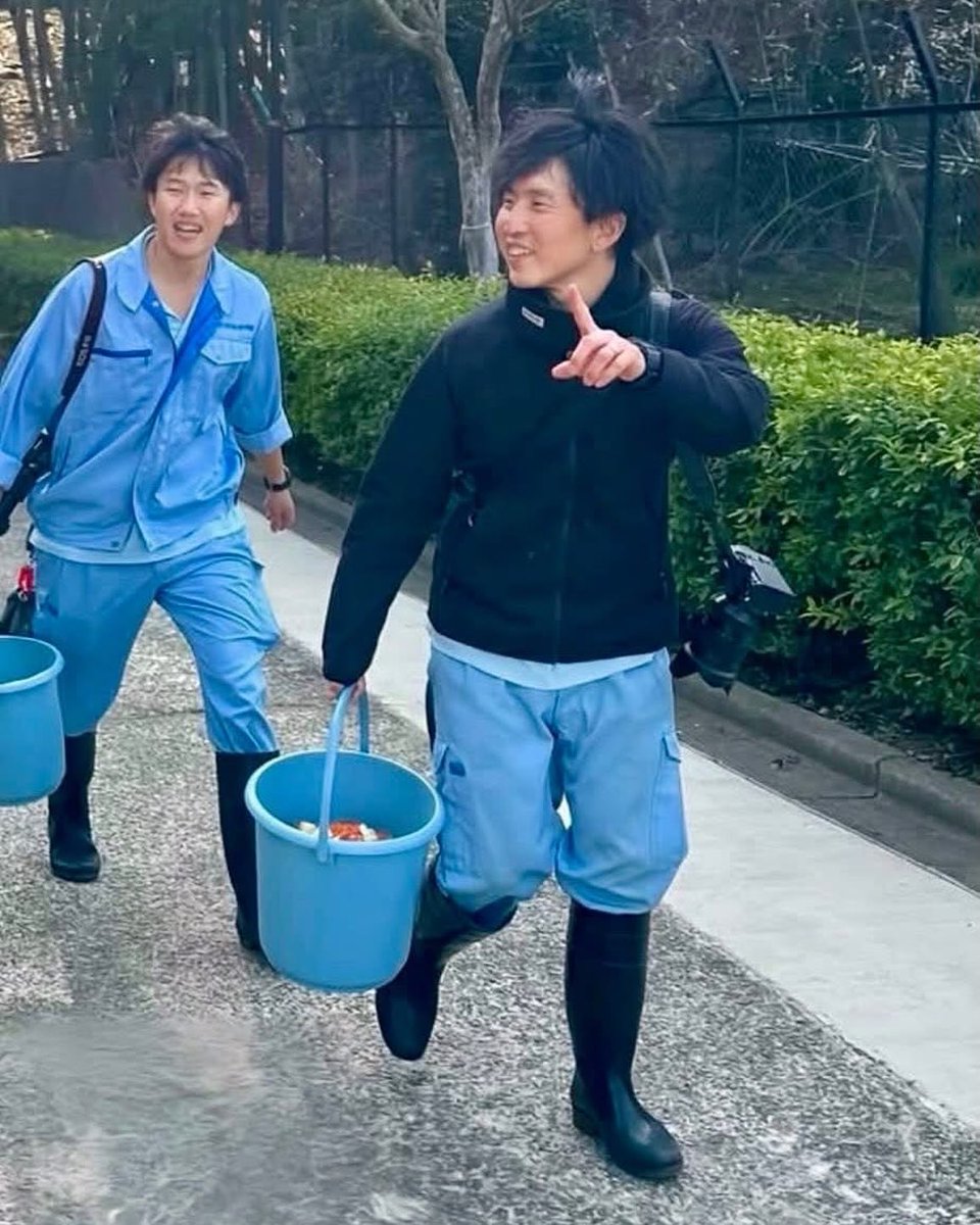 Animal Love tweet media