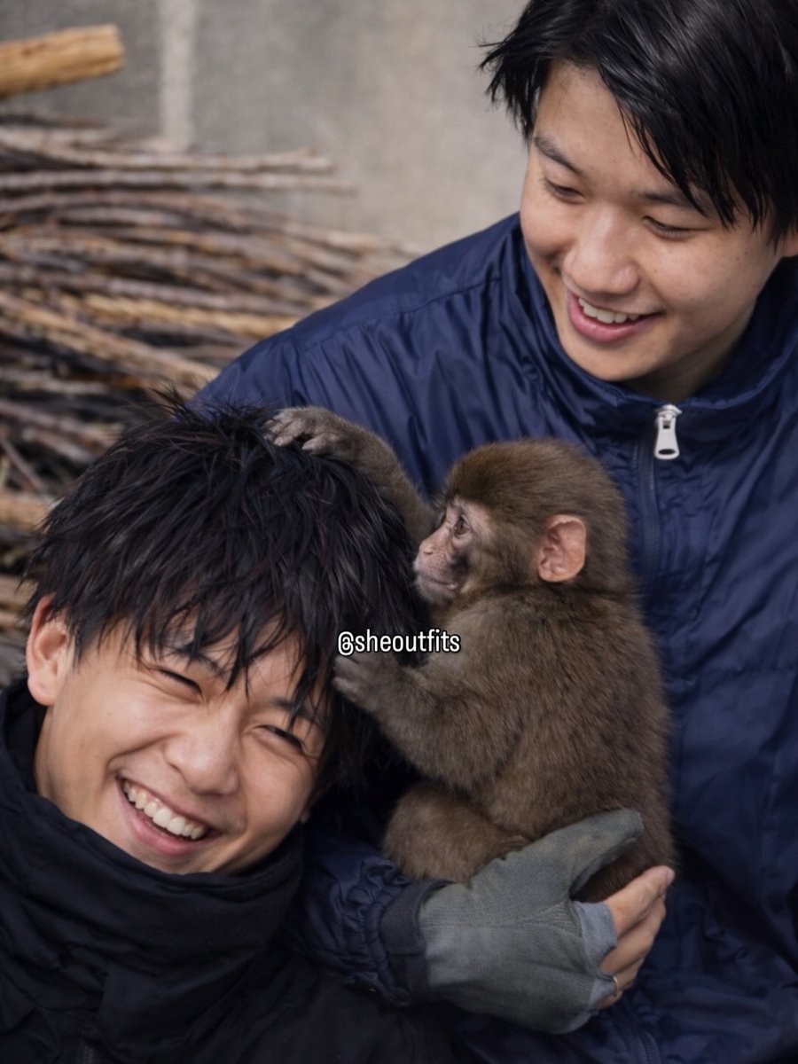 Animal Love tweet media