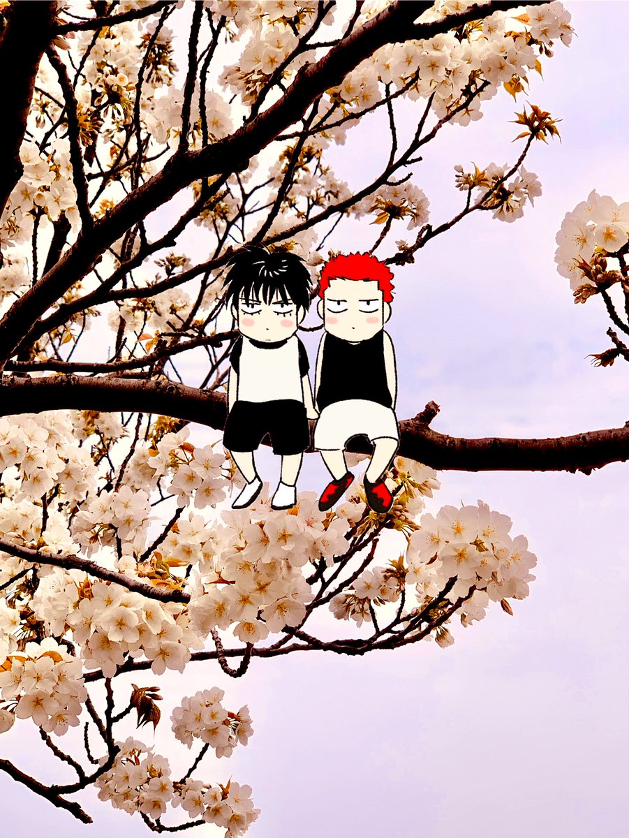 らおぼね5/6東2て55b tweet media