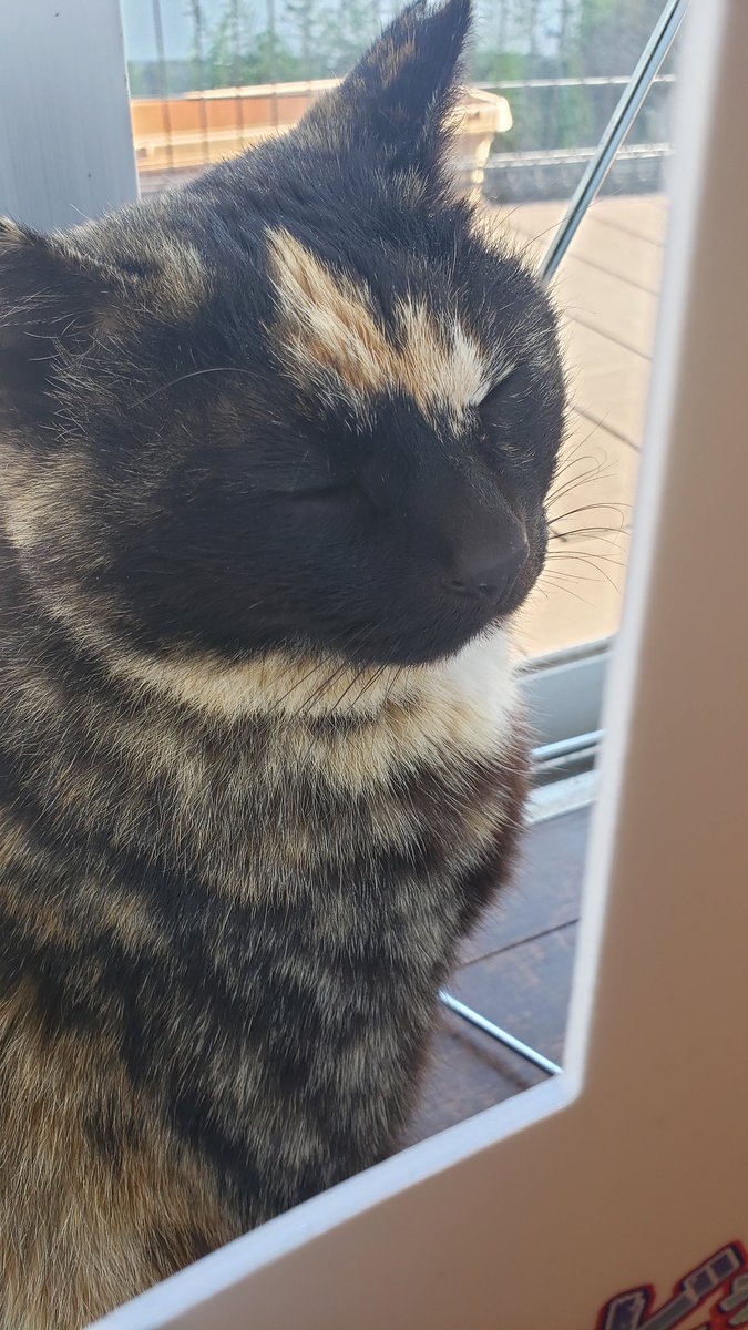 mitsuakiyajma tweet media