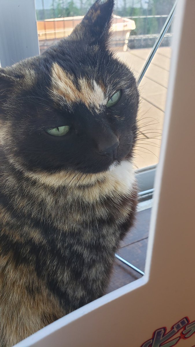 mitsuakiyajma tweet media