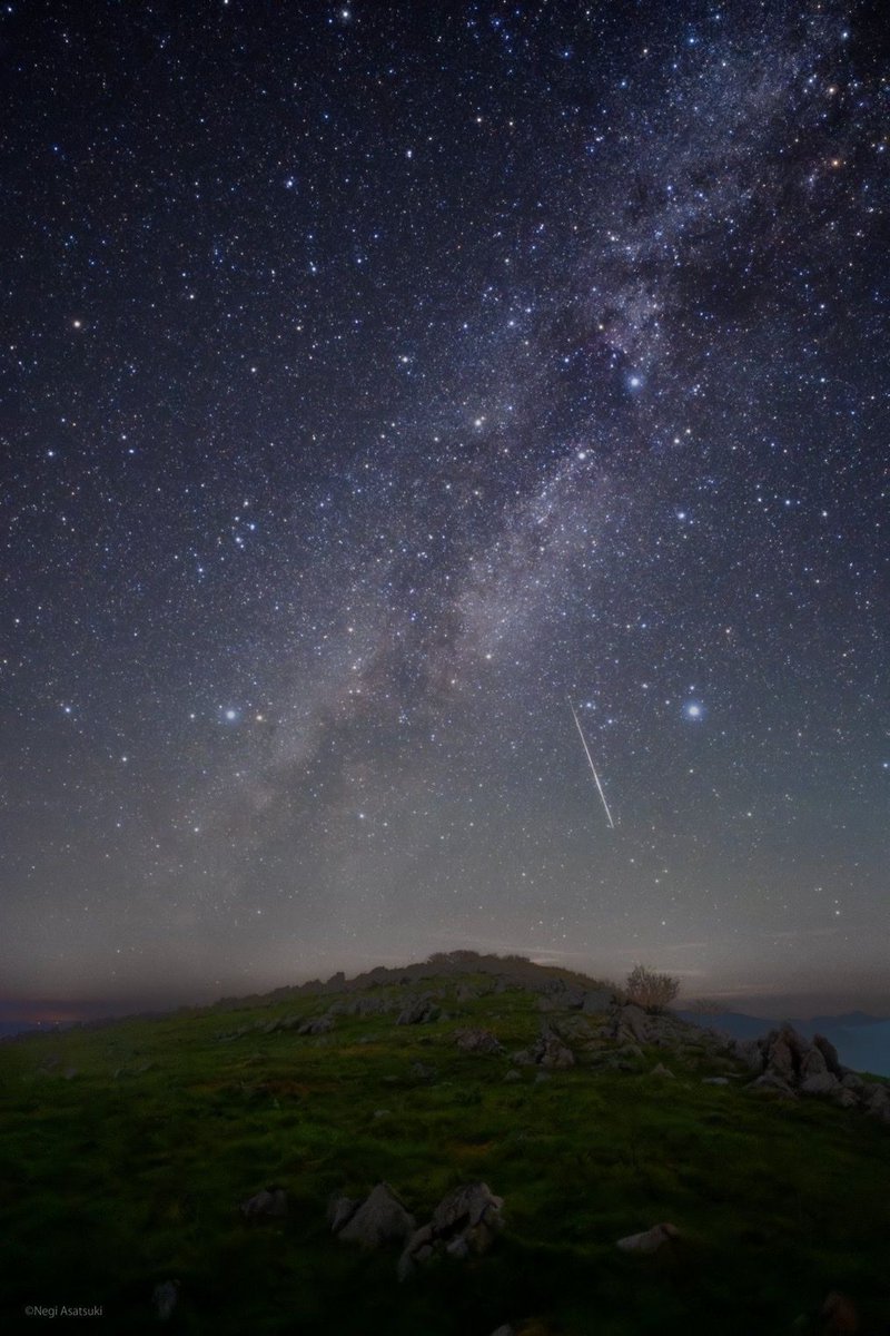 Negi Asatsuki tweet media