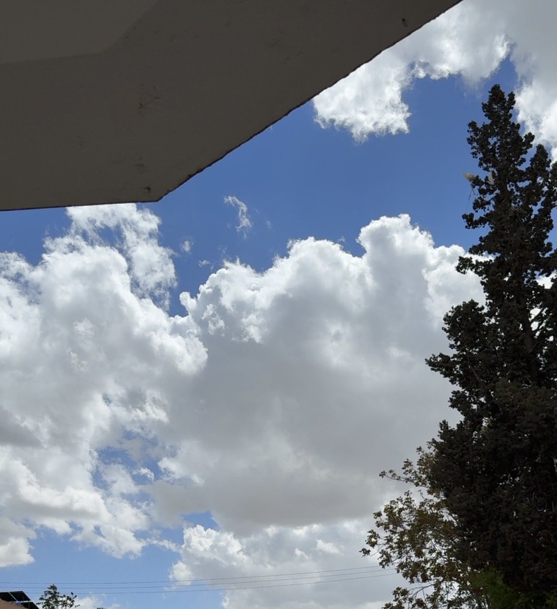 bilalmodi_BM tweet media