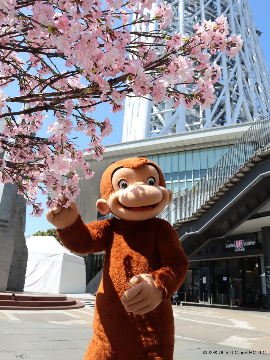 Curious George Kitchen(「おさるのジョージ」キッチン) tweet media