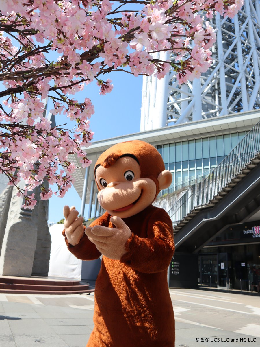 Curious George Kitchen(「おさるのジョージ」キッチン) tweet media