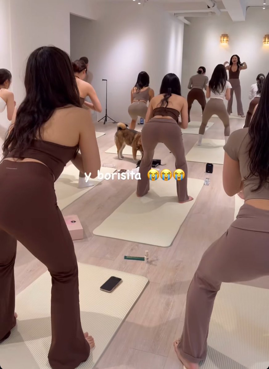 james cafecito clips tweet media