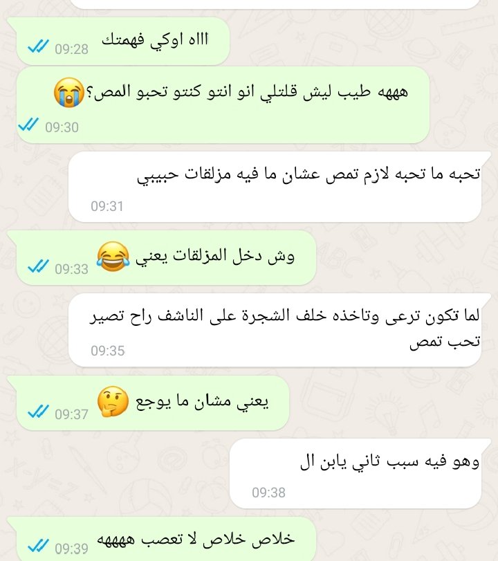 alyaa | علياء 🏳️🌈 tweet media