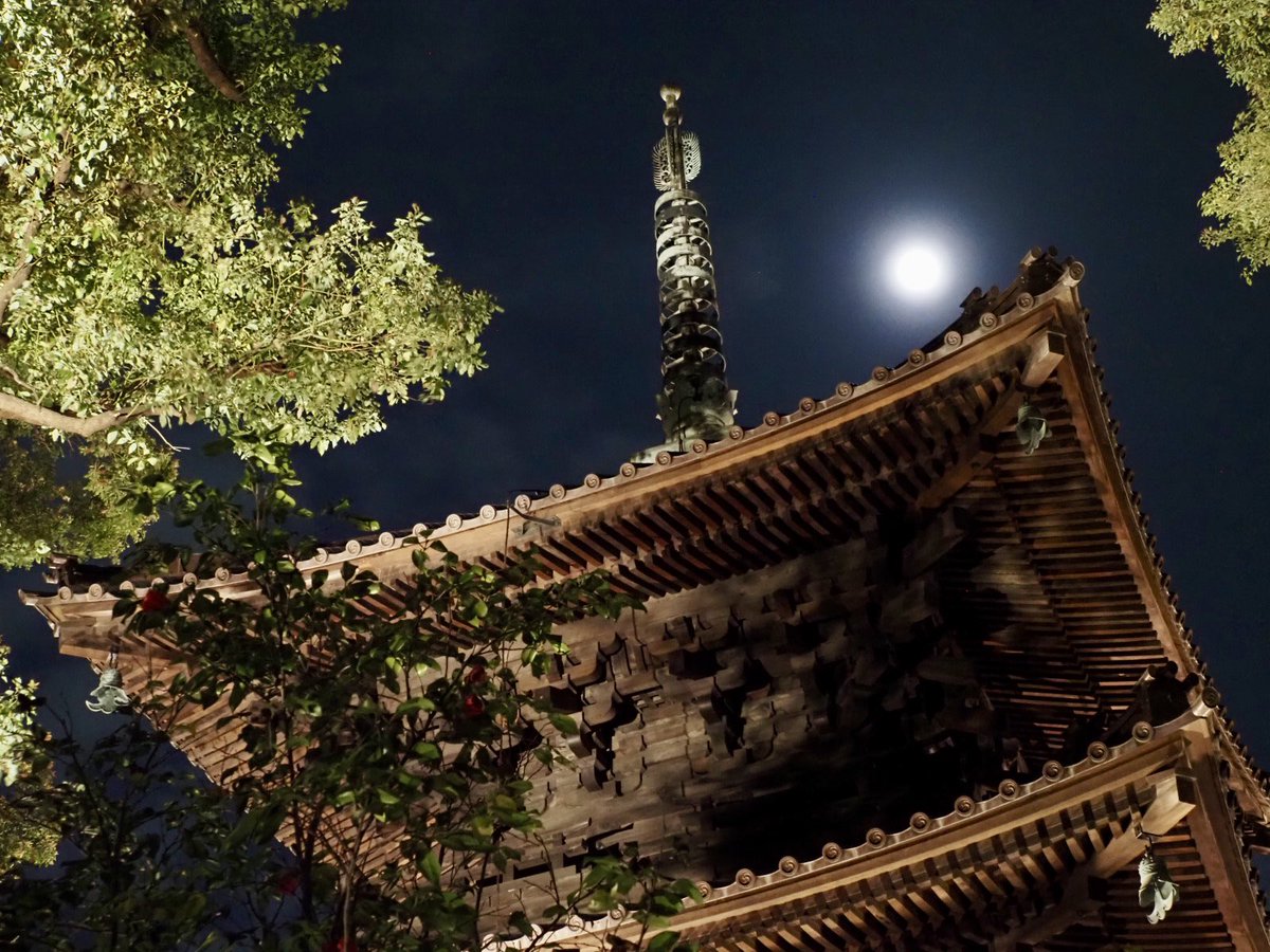 ロプロス tweet media