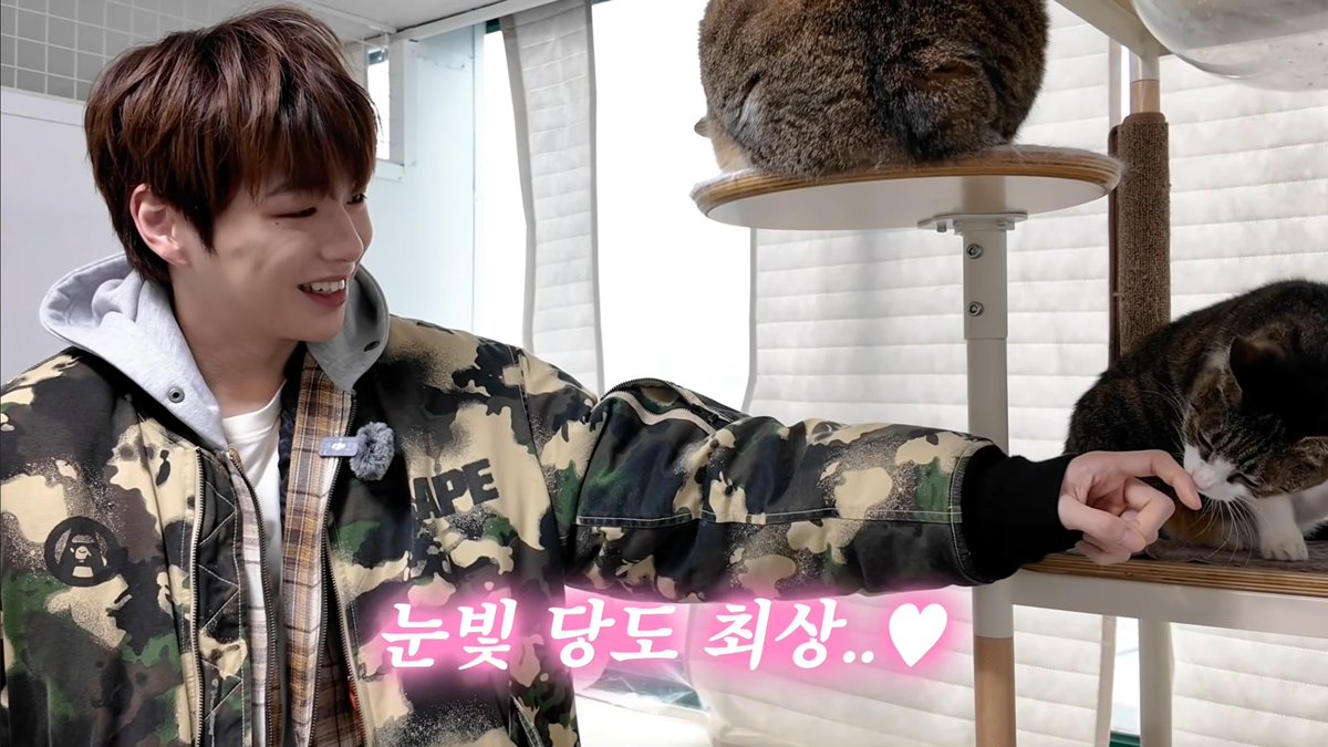 💗DaA💗 tweet media