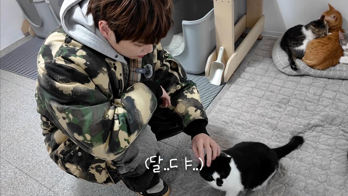 💗DaA💗 tweet media