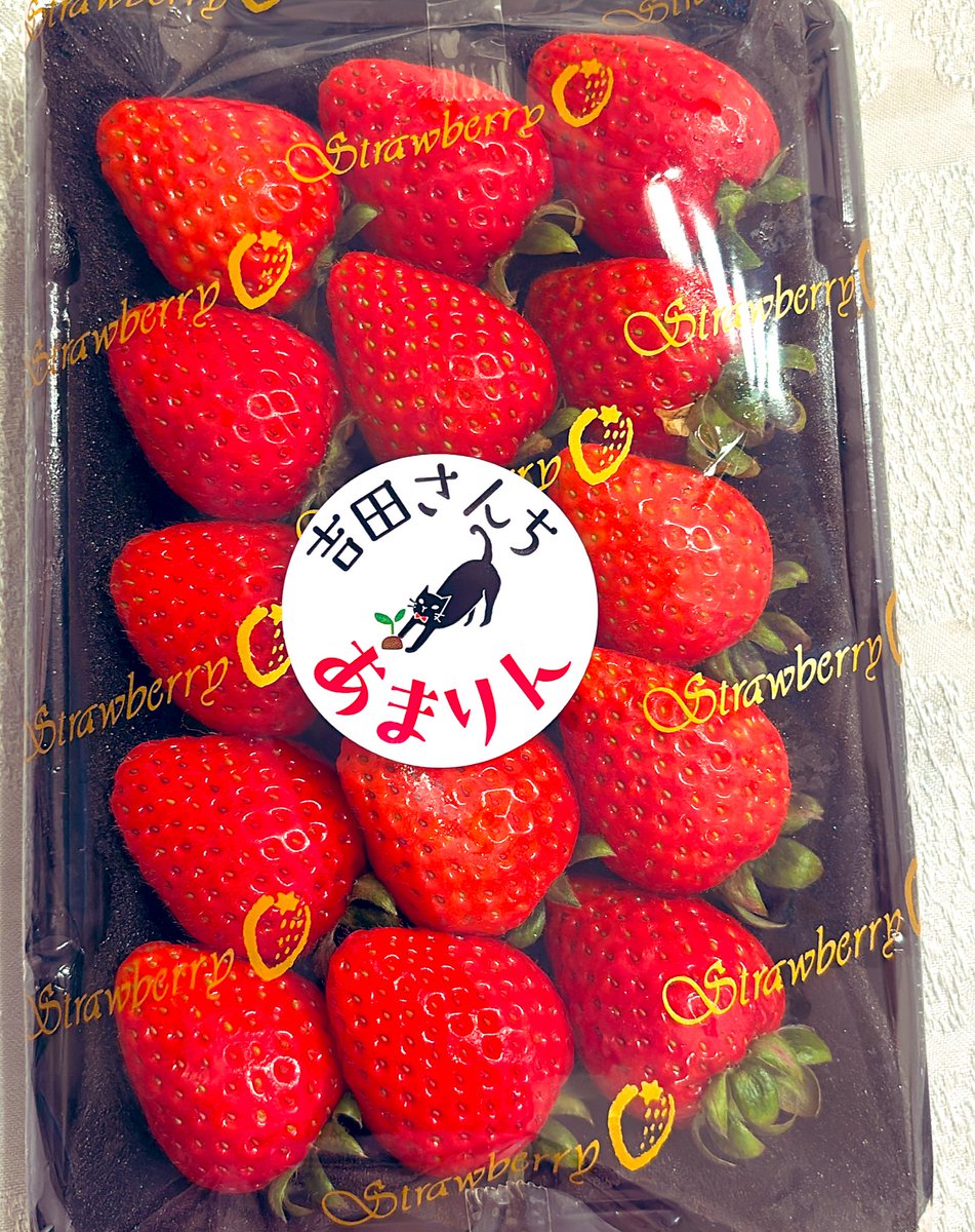 黒沢咲⚡️ tweet media