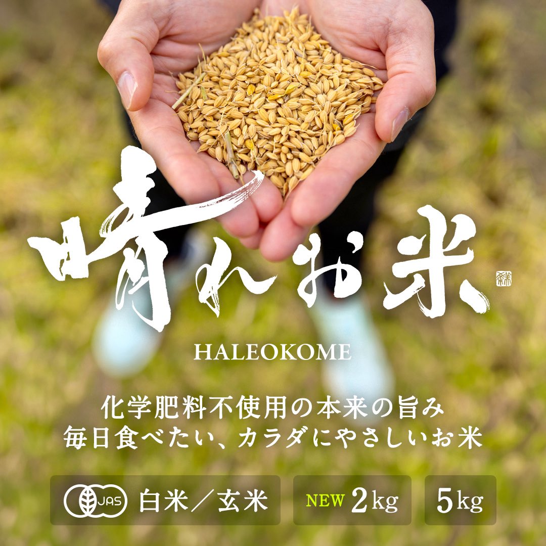 HALEO-OFFICIAL tweet media