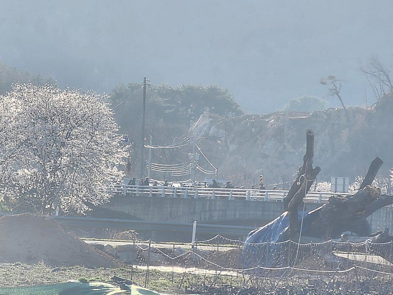 김선호호호 ◡̈ 🍀🥐 tweet media